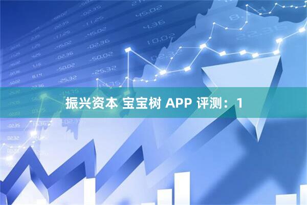 振兴资本 宝宝树 APP 评测：1