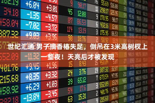 世纪汇通 男子摘香椿失足，倒吊在3米高树杈上一整夜！天亮后才被发现