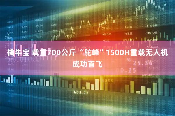 擒牛宝 载重700公斤 “驼峰”1500H重载无人机成功首飞